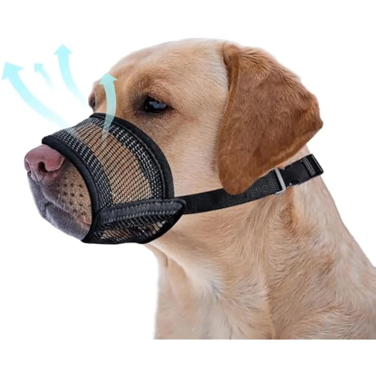 Dog Muzzle for Varies Dogs - Air Mesh Muzzle for Varies Sized Dog | Adjustable No Bark Dogs Muzzles for Scavenging Licking & Chewing | Prevent Biting |,Back to School